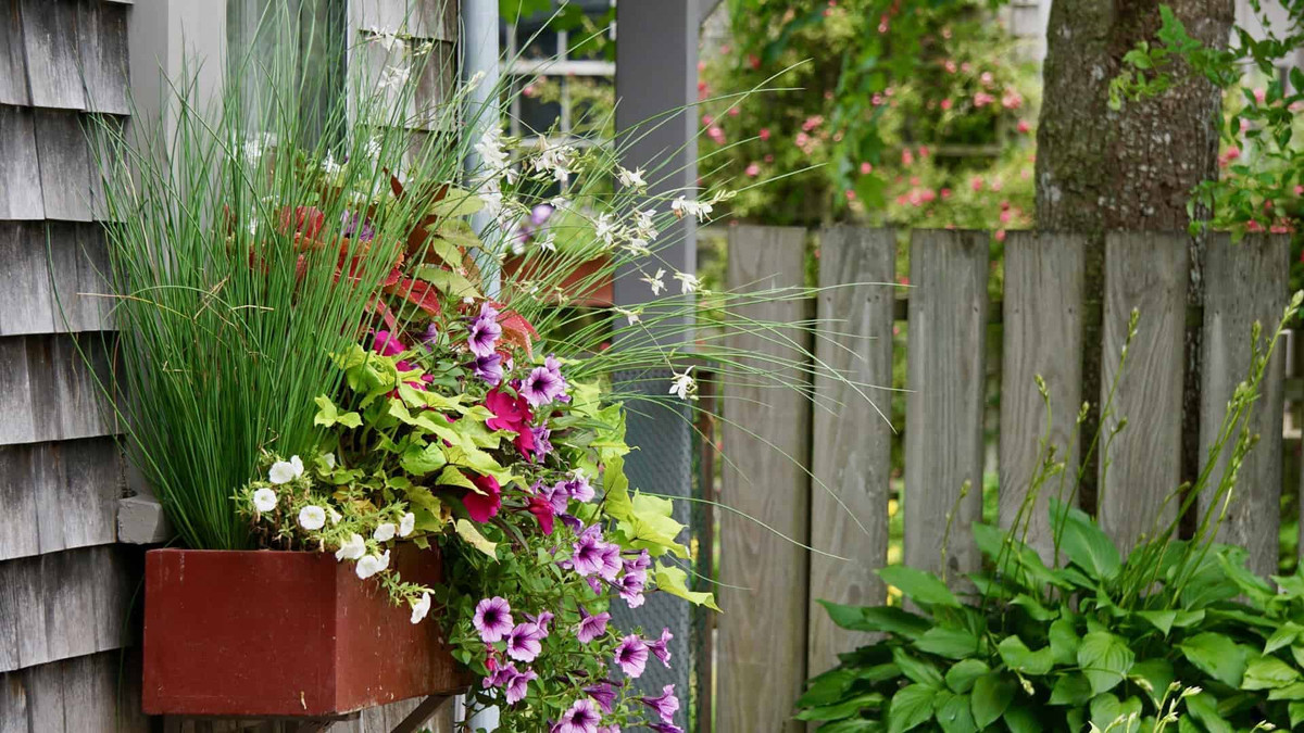 window box on mobile home with spring flowers