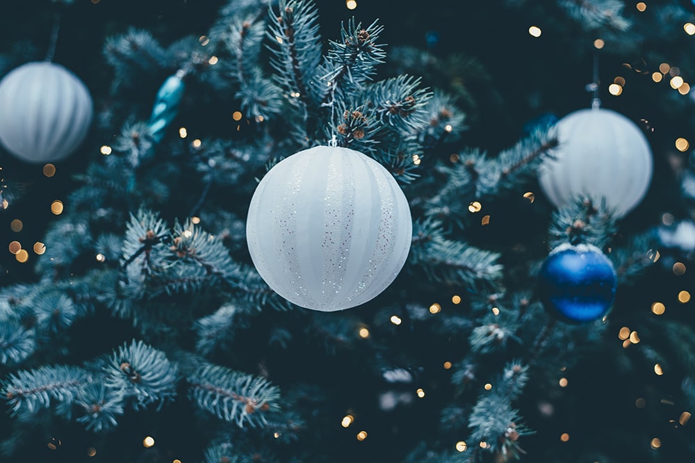 Braustin Family Holiday Traditions